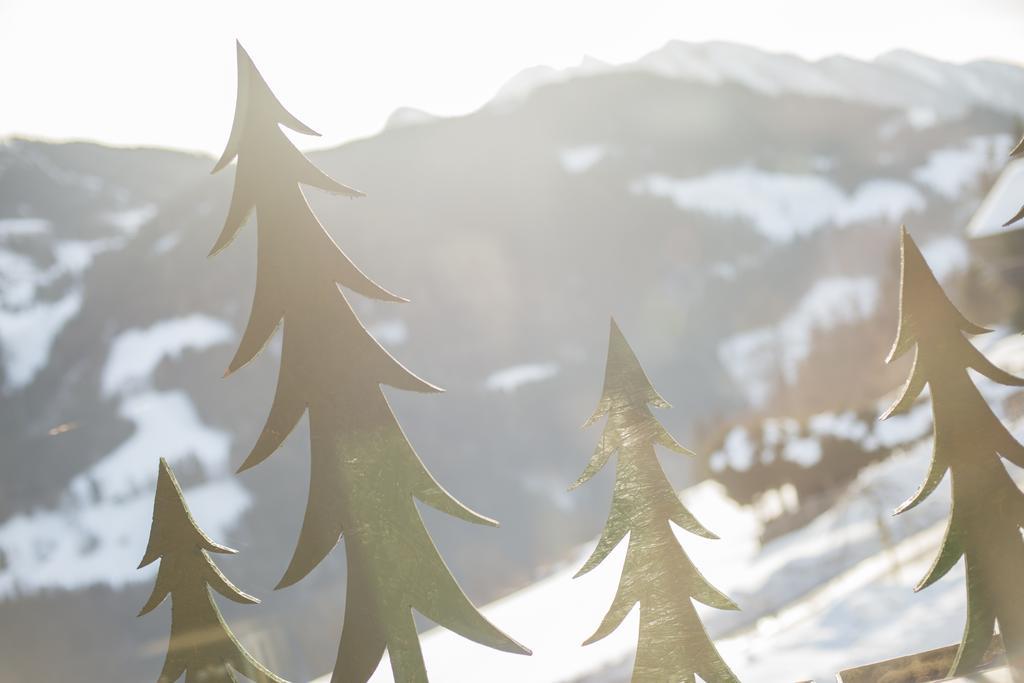 Apartmán Kendlhof Sankt Johann im Pongau Exteriér fotografie
